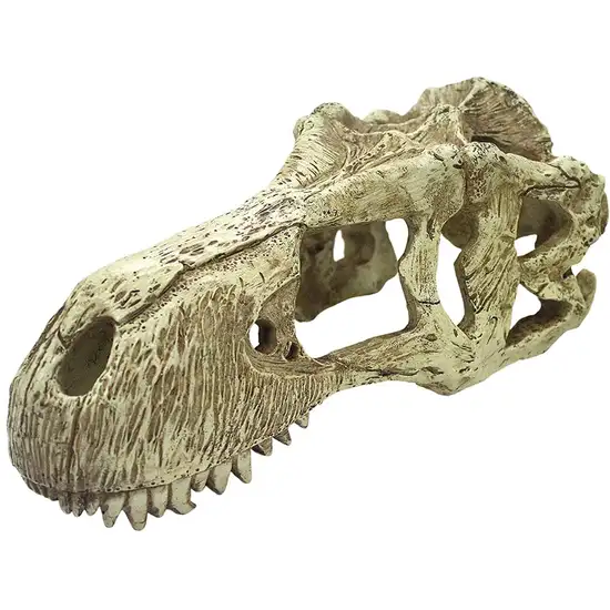 Komodo T-Rex Skull Terrarium Decoration Photo 1