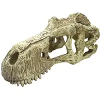 Photo of Komodo T-Rex Skull Terrarium Decoration