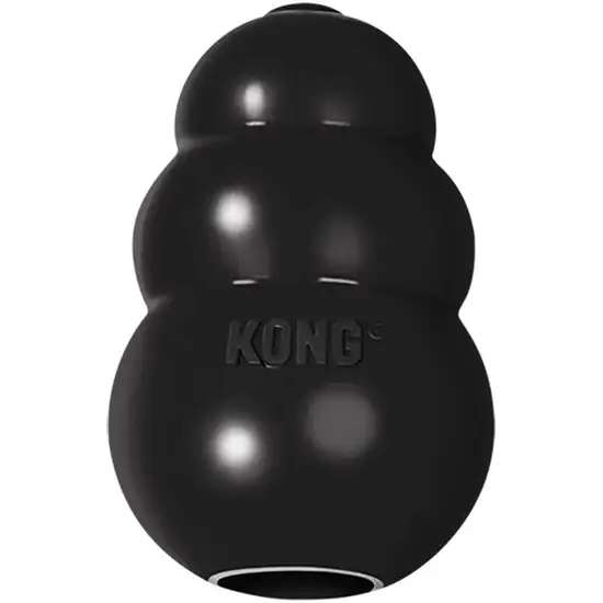 Kong Extreme Kong Dog Toy - Black Photo 2