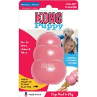 Photo of Kong Puppy Kong