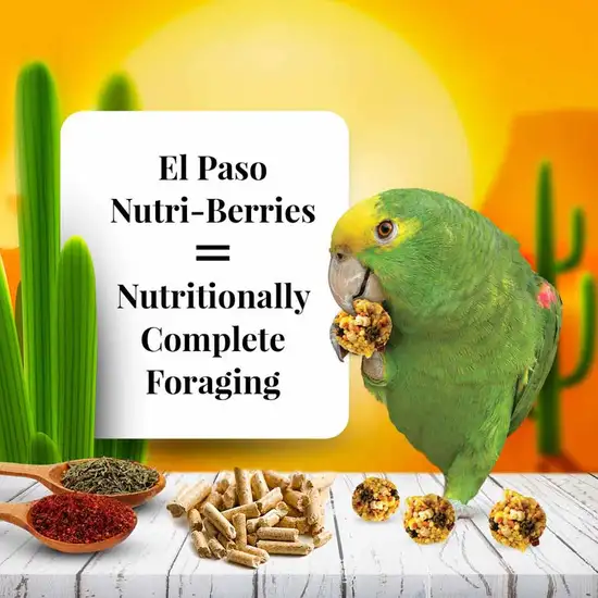 Lafeber El Paso Nutri-Berries Parrot Food Photo 4