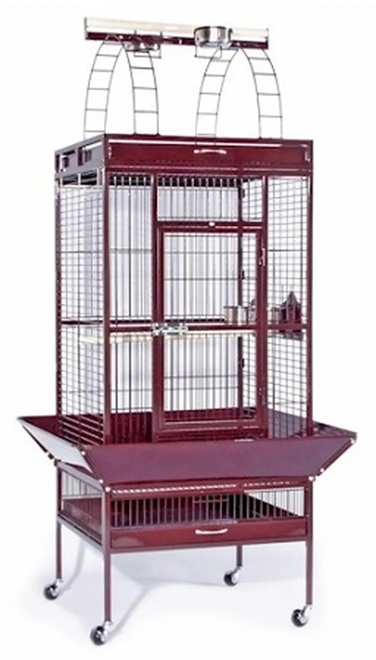 Large Select Wrought Iron Play Top Bird Cage - Black Photo 1