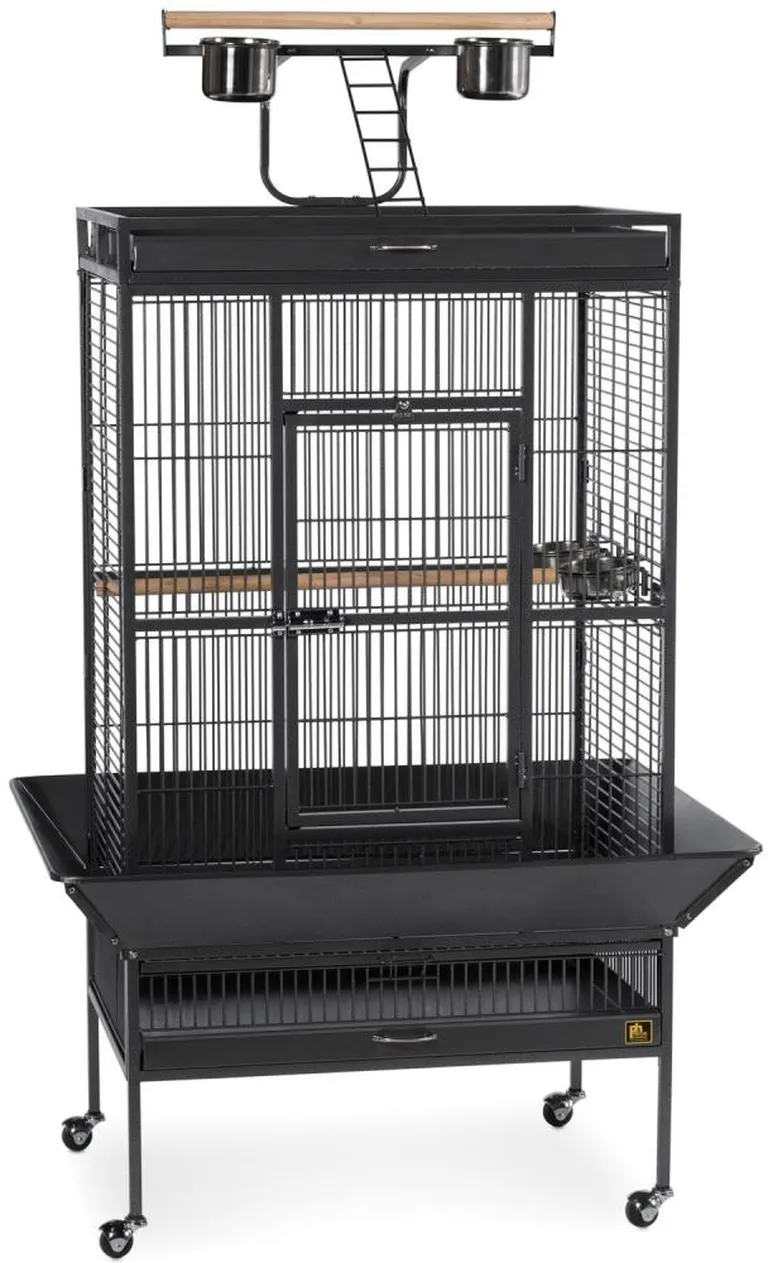 Large Select Wrought Iron Play Top Bird Cage - Coco Brown Photo 2