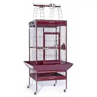 Photo of Large Select Wrought Iron Play Top Bird Cage - Coco Brown