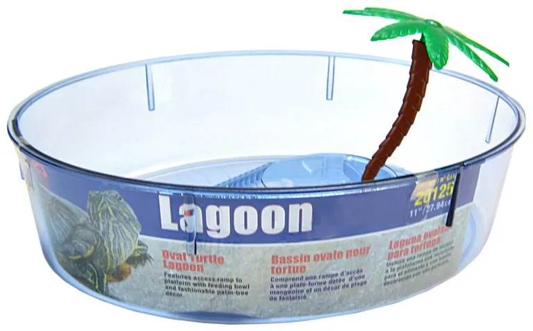 Lees Oval Turtle Lagoon with Access Ramp to Feeding Bowl and Palm Tree Decor Photo 2
