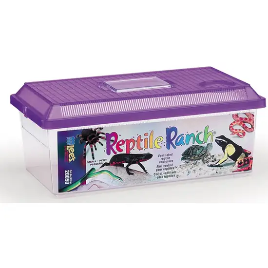 Lees Reptile Ranch Ventilated Reptile and Amphibian Rectangle Habitat with Lid Photo 3