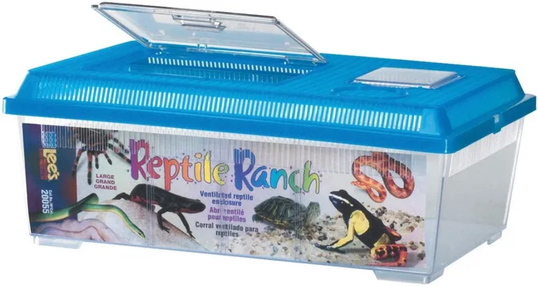 Lees Reptile Ranch Ventilated Reptile and Amphibian Rectangle Habitat with Lid Photo 2