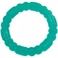 Photo of Lil Pals Antimicrobial Teething Ring