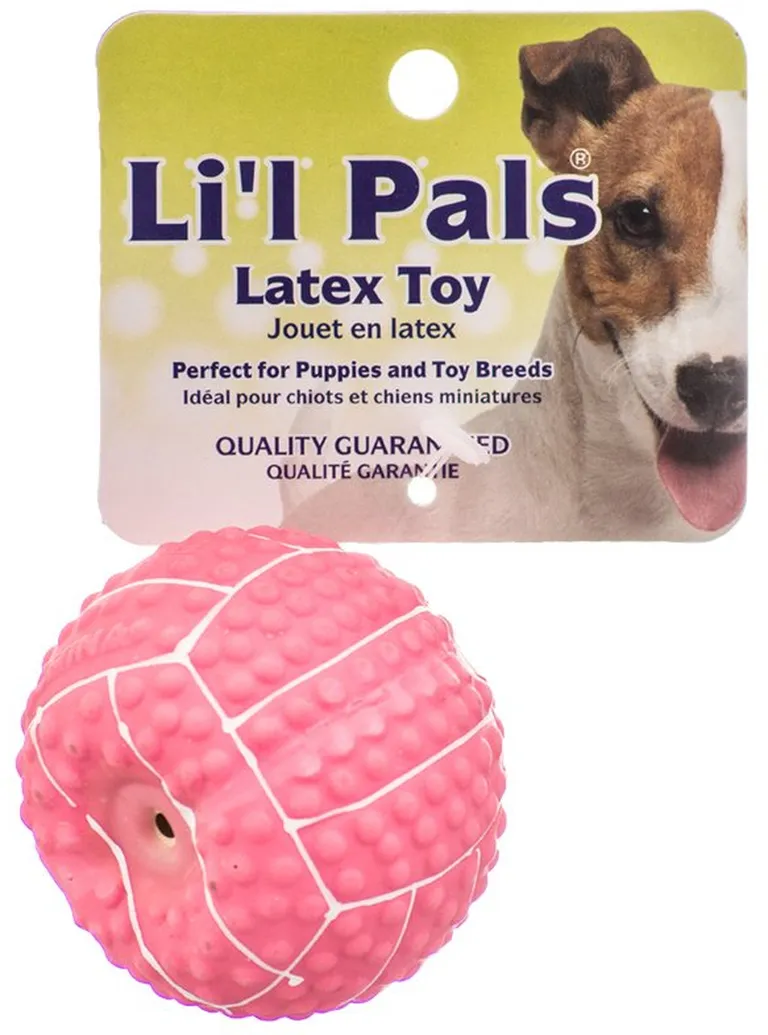 Lil Pals Latex Mini Volleyball for Dogs Pink Photo 1