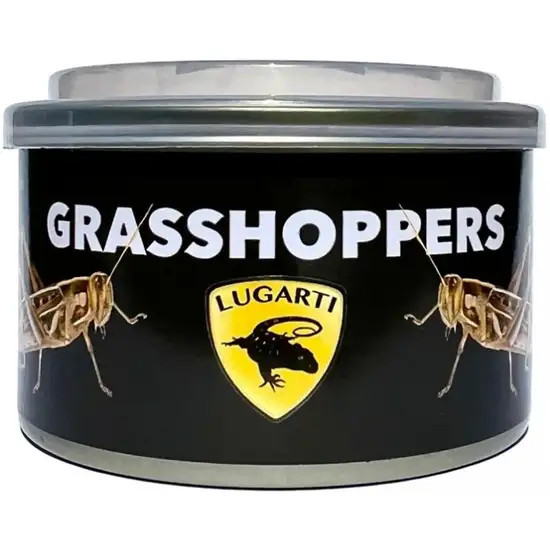 Lugarti Canned Grasshoppers Treat for Insectivores Photo 1