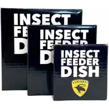 Photo of Lugarti Insect Feeder Dish Black