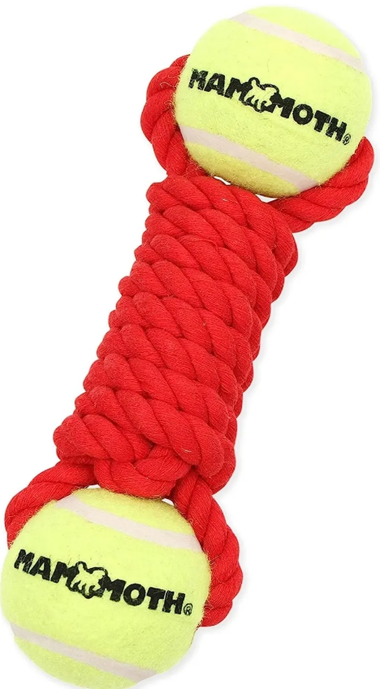 Mammoth Flossy Chews Braided Bone with 2 Tennis Balls for Dogs Photo 2