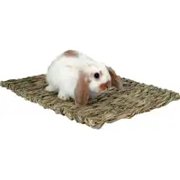 Photo of Marshall Peters Woven Grass Mat for Small Animals