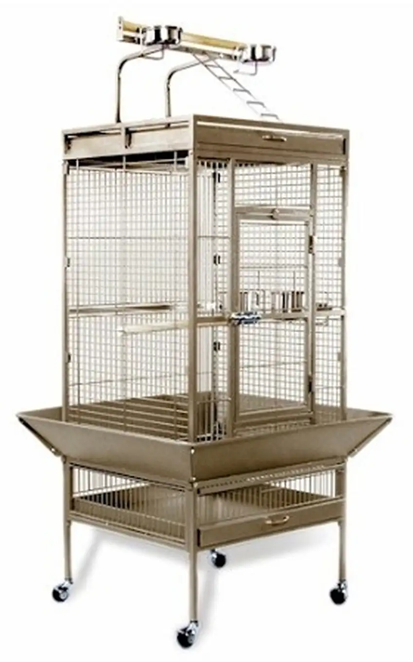 Medium Wrought Iron Select Bird Cage - Coco Brown Photo 1