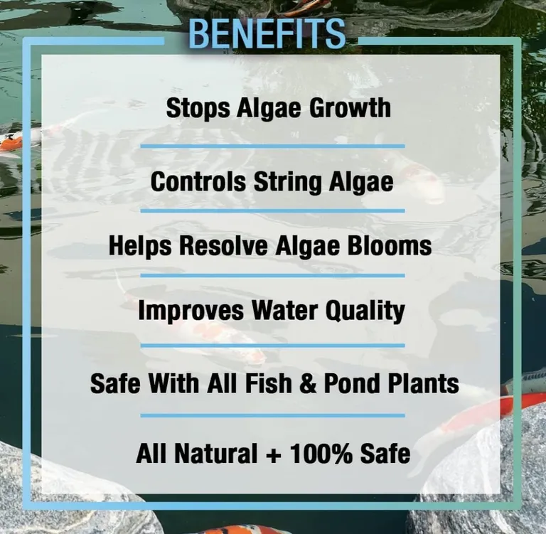 Microbe-Lift Pond Algaway 5.4 Algaecide for Ponds Stops Algae Growth Photo 3