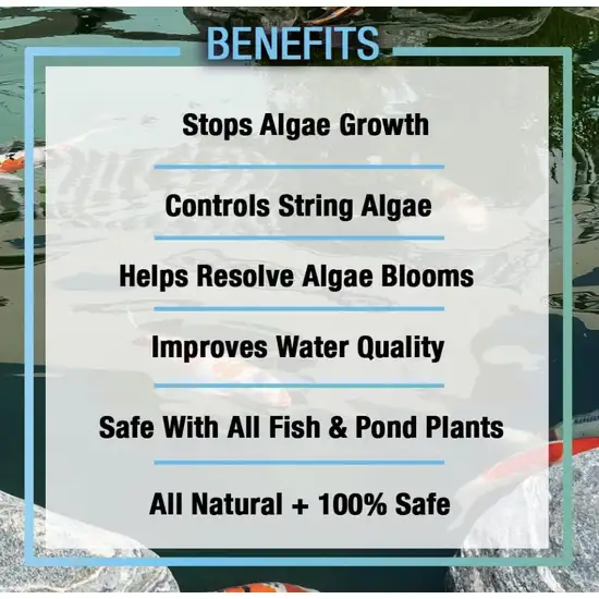 Microbe-Lift Pond Algaway 5.4 Algaecide for Ponds Stops Algae Growth Photo 3