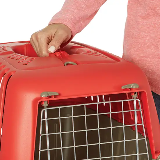 MidWest Spree Pet Carrier Red Plastic Dog Carrier Photo 4