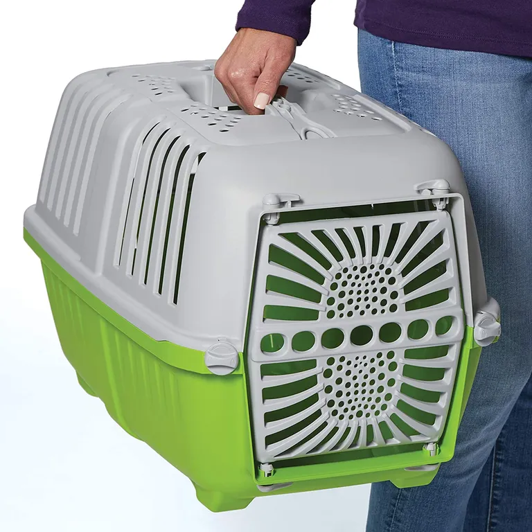 MidWest Spree Plastic Door Travel Carrier Green Pet Kennel Photo 5