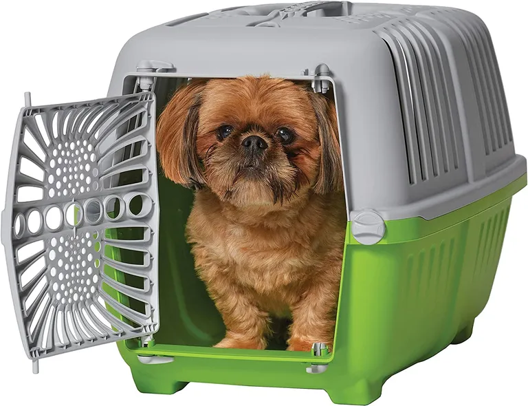 MidWest Spree Plastic Door Travel Carrier Green Pet Kennel Photo 1