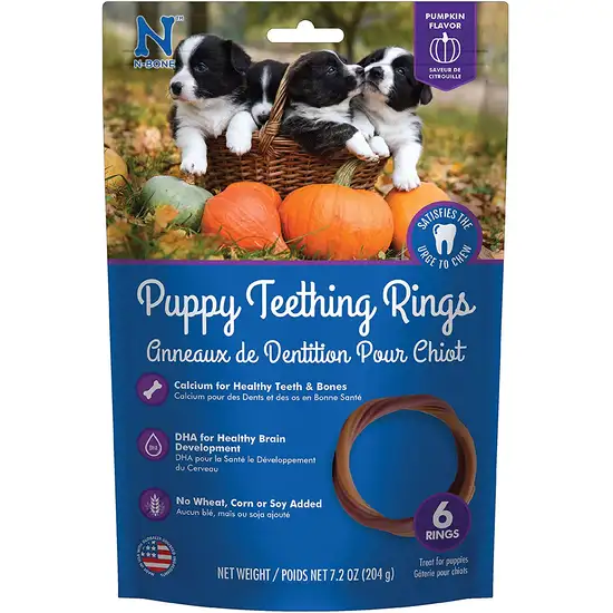 N-Bone Puppy Teething Ring - Pumpkin Flavor Photo 1