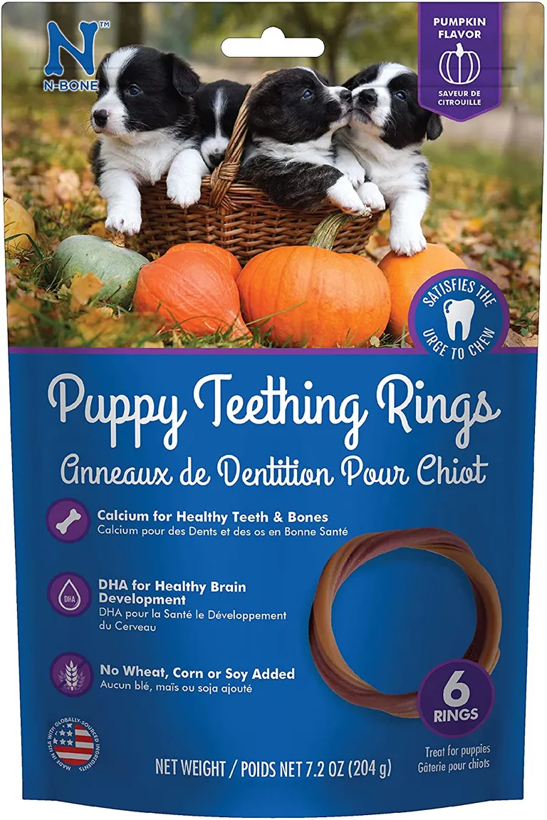 N-Bone Puppy Teething Ring Pumpkin Photo 1