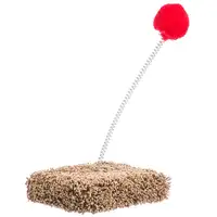 Photo of North American Cat Toy On Spring