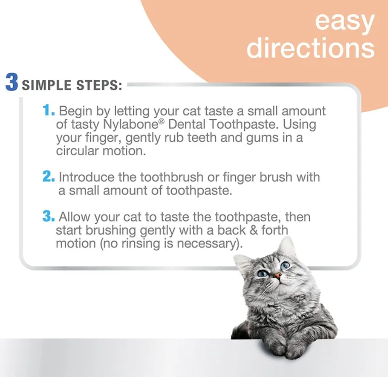 Nylabone Advanced Oral Care Cat Dental Kit Photo 4