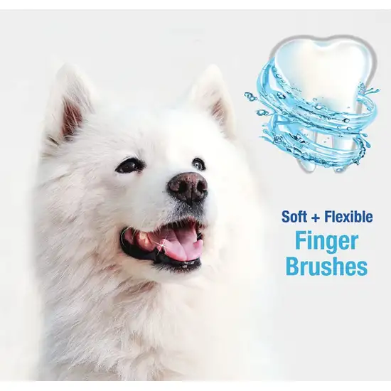 Nylabone Advanced Oral Care Finger Brush Photo 5