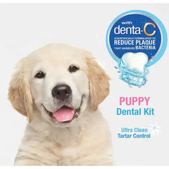 Nylabone Advanced Oral Care Puppy Dental Kit Photo 5