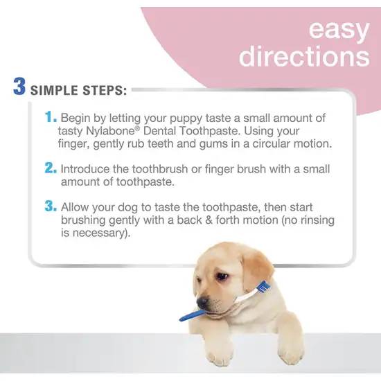 Nylabone Advanced Oral Care Puppy Dental Kit Photo 4