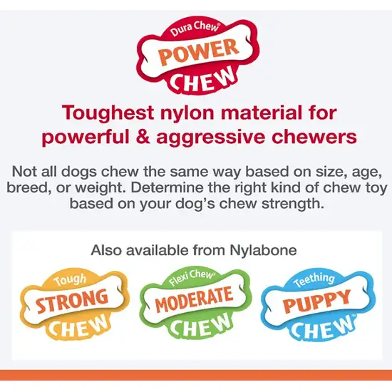 Nylabone Dura Chew Power Chew Bone Flavor Medley Photo 3