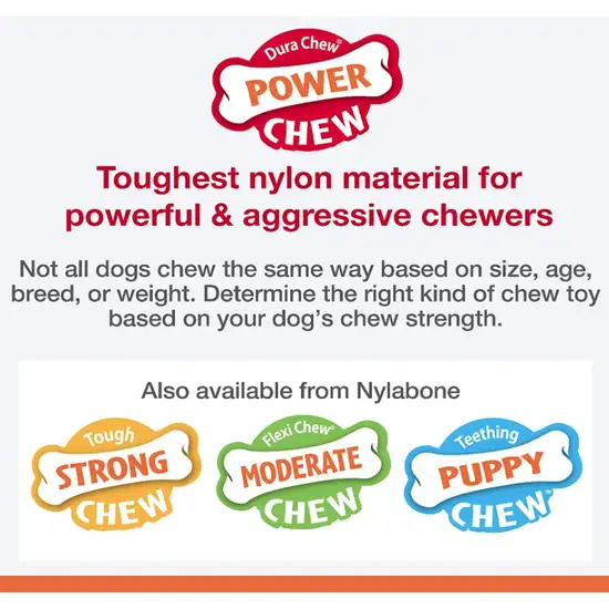 Nylabone Dura Chew Power Chew Flavor Medley Textured Ring Bone Petite Photo 4