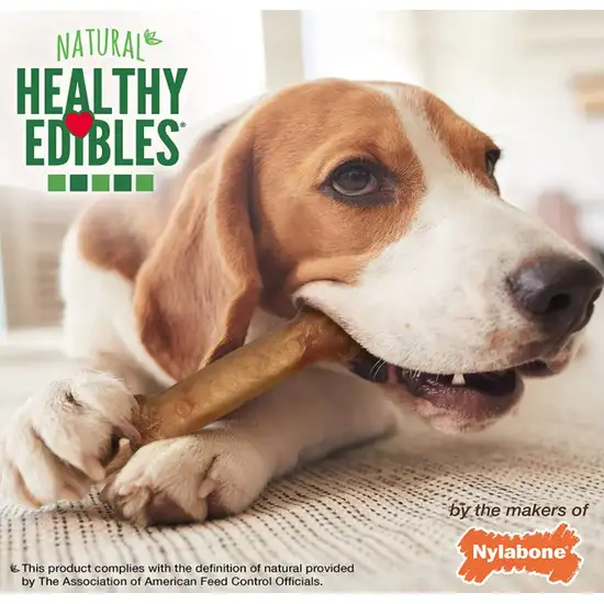 Nylabone Healthy Edibles Wholesome Dog Chews - Chicken Flavor Photo 7