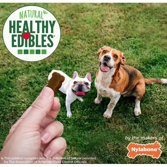 Nylabone Natural Healthy Edibles Beef and Cheese Chewy Bites Dog Treats Photo 8