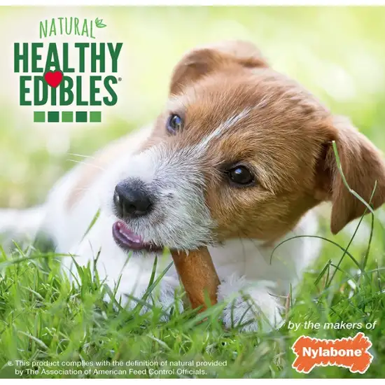 Nylabone Natural Healthy Edibles Chew Dog Treats Roast Beef Regular Photo 7
