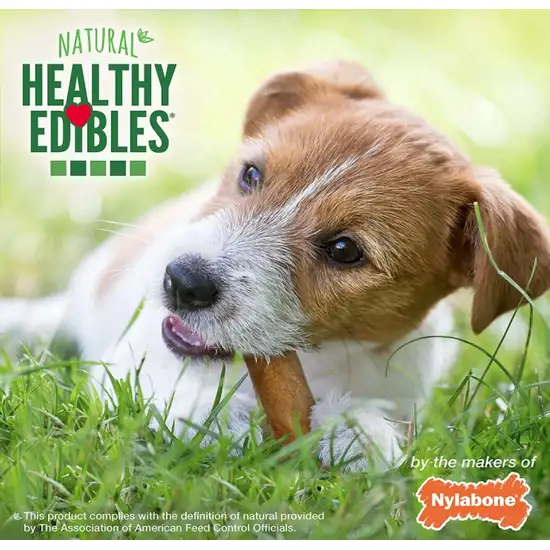 Nylabone Natural Healthy Edibles Chew Dog Treats Roast Beef Regular Photo 8