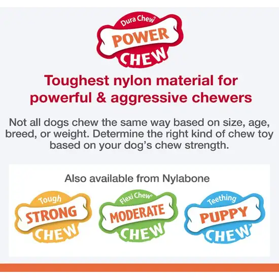 Nylabone Power Chew Bison Bone Alternative Dog Chew Toy Beef Flavor Photo 3