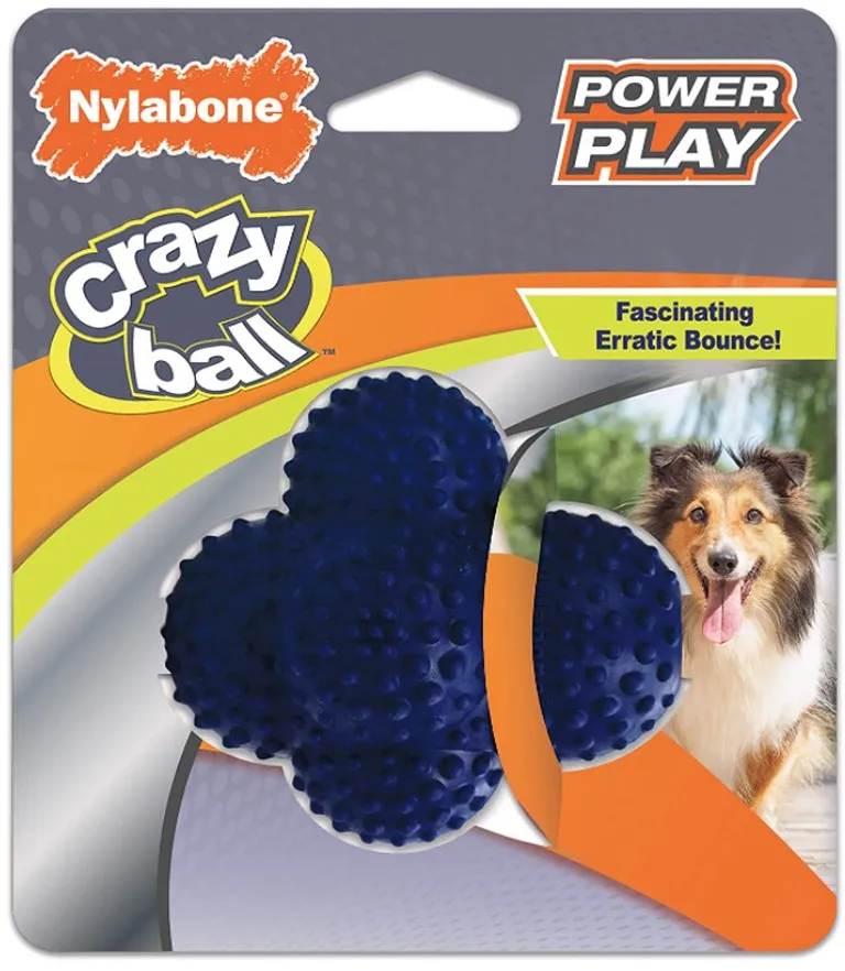 Nylabone Power Play Crazy Ball Dog Toy Large Photo 1