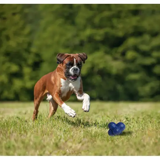 Nylabone Power Play Crazy Ball Dog Toy Large Photo 4