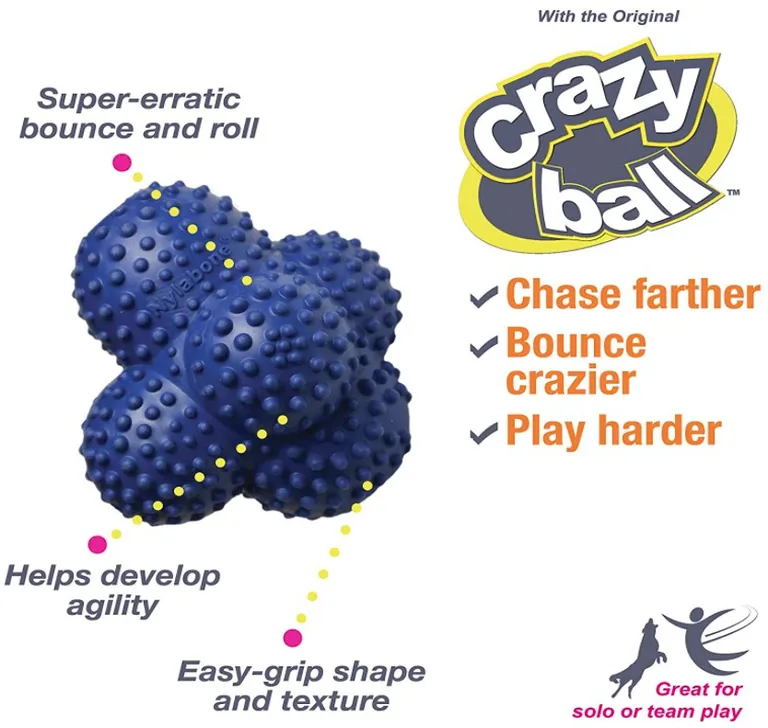 Nylabone Power Play Crazy Ball Dog Toy Large Photo 3