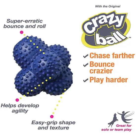 Nylabone Power Play Crazy Ball Dog Toy Large Photo 3