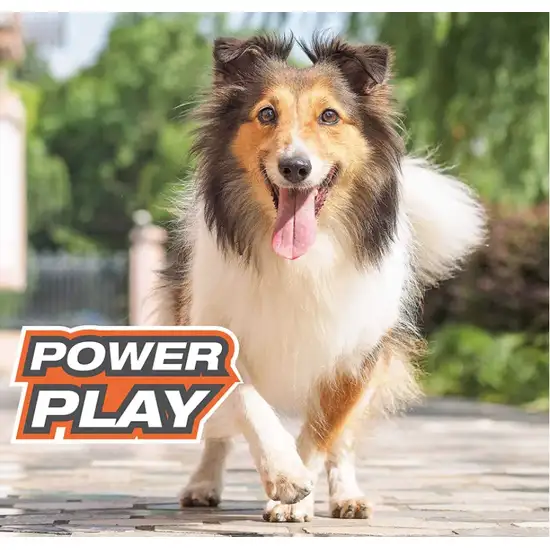 Nylabone Power Play Crazy Ball Dog Toy Large Photo 5