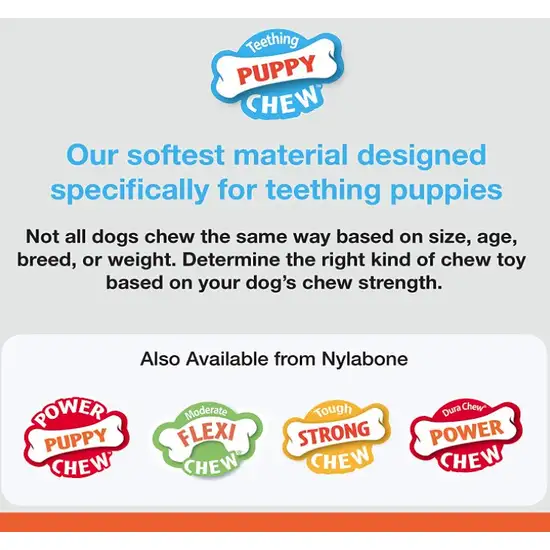 Nylabone Puppy Chew Bone Chicken Flavor Photo 4