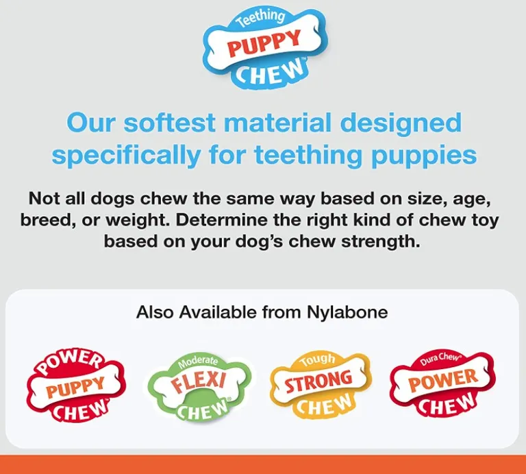 Nylabone Puppy Chew Color Changing Chill N Chew Bone Mini Souper Photo 3