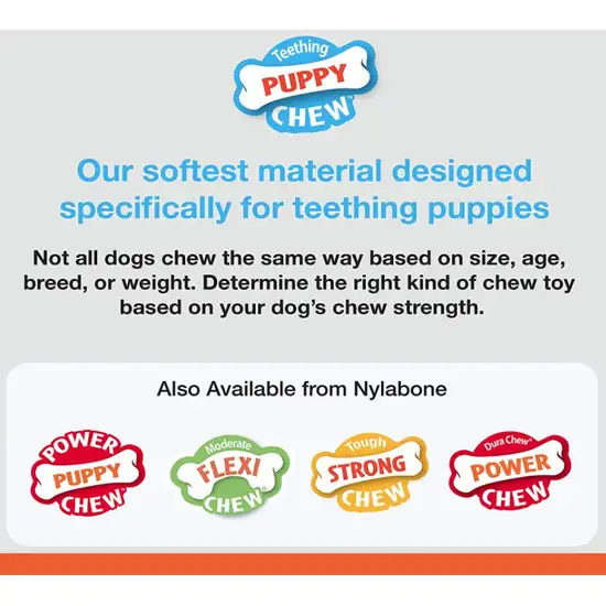 Nylabone Puppy Chew Color Changing Chill N Chew Bone Mini Souper Photo 3