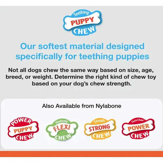 Nylabone Puppy Chew Dental Bone Blue Photo 3