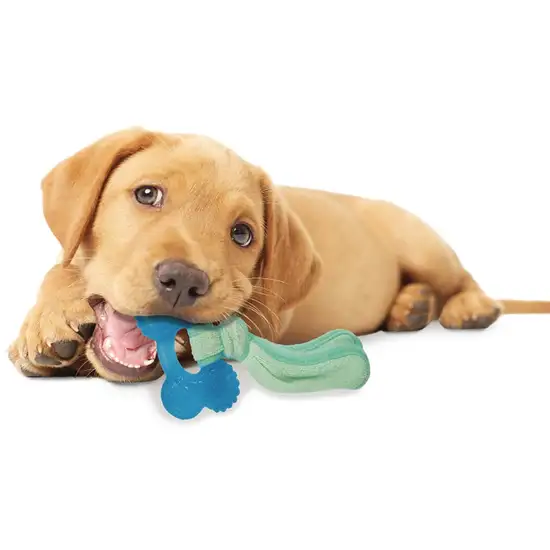 Nylabone Puppy Chew Peanut Butter Chill N Chew Bone Regular Photo 6
