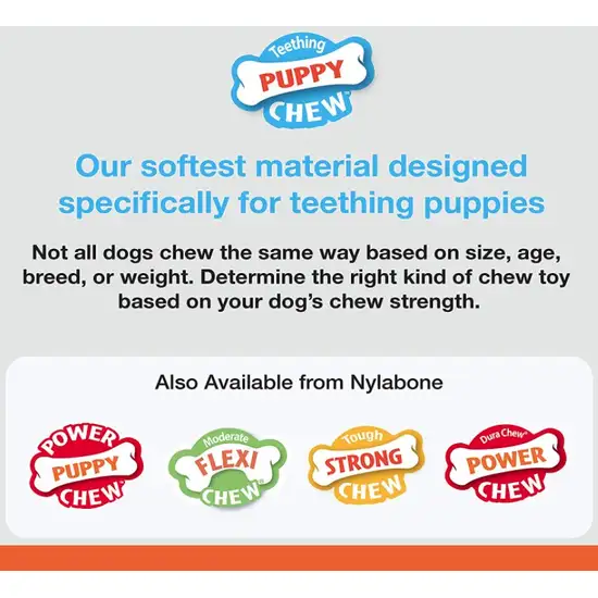 Nylabone Puppy Chew Peanut Butter Chill N Chew Bone Regular Photo 4