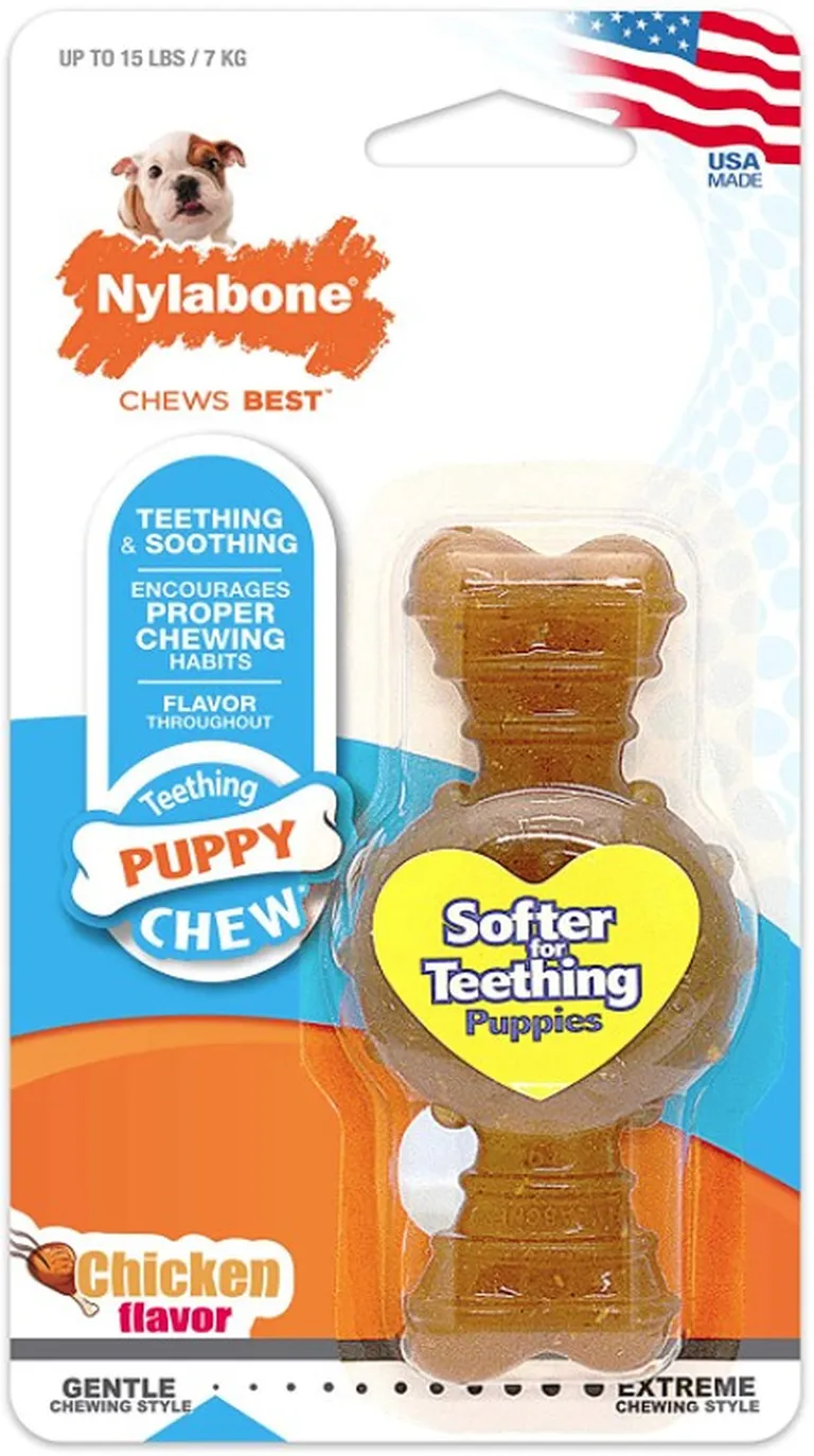 Nylabone Puppy Chew Ring Bone Chicken Flavor Petite Photo 1