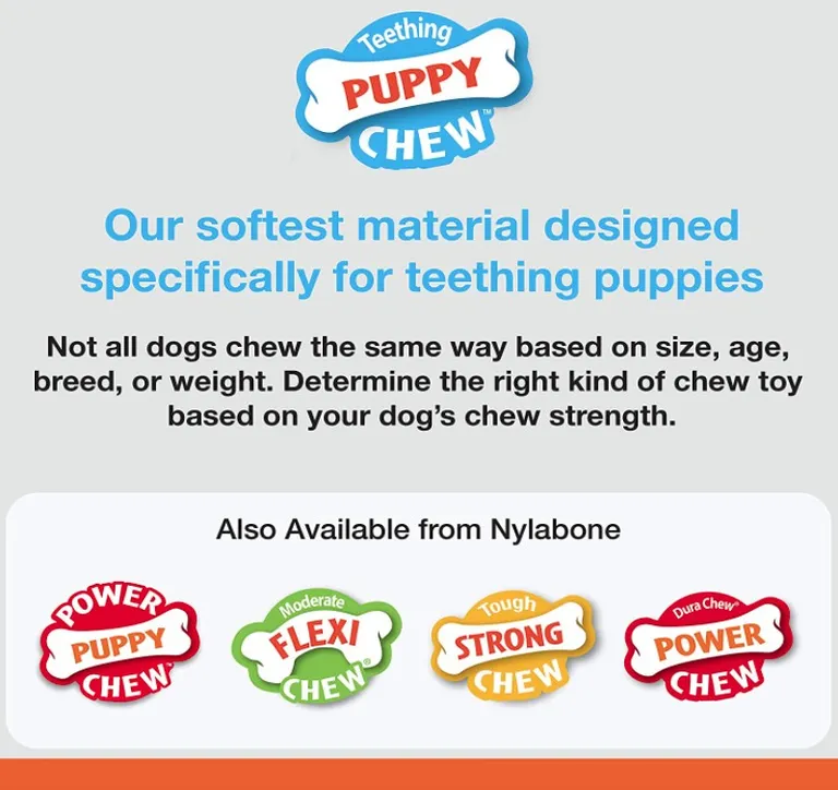 Nylabone Puppy Chew Ring Bone Chicken Flavor Petite Photo 3